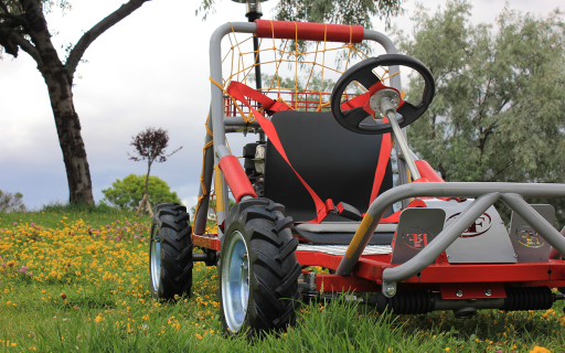 GOKART-ATV-BUGGY