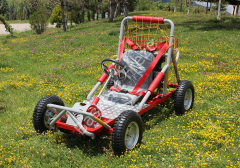 BF BUGGY 1