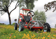 BF BUGGY 1
